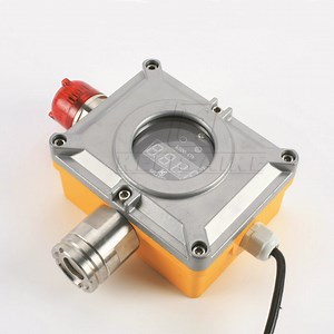 [Hot Item] Wall Mount Type Explosion Proof Gas Detector for H2s, Co