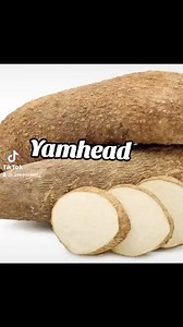 Ya yamhead | Lilly Miss Chatterbox