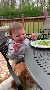 Florida Adoption Law Group on Reels | Facebook