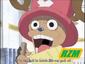 zoro and chopper amv