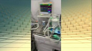 31K views · 55 shares | No #JH: no interior do Paraná até um...