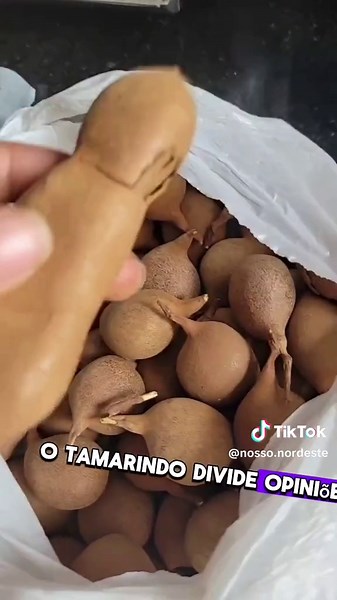 Descubra 10 Frutas Típicas do Nordeste