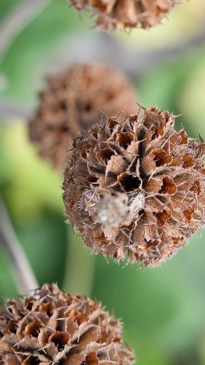 The Hepworth Wakefield on Reels