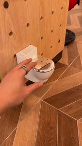 29K views · 851 reactions | When your cat’s water bowl just isn’t extra enough.  This toilet fountain keeps water fresh and fun—because hydration should never be boring! #ToiletBowlFountain #CatGadget #FunPetAccessory #StayHydrated #CatLovers | NioPets | Facebook