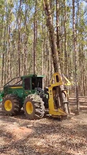 14K views · 304 reactions | Harvest Trees | Giant Machine | Facebook