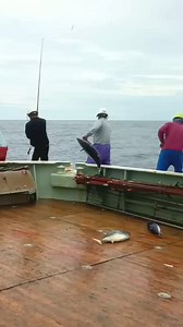 173K views · 656 reactions | Door nhi ja... #instagood #instareels #beautiful #instalove | Ram Sahay Bairwa | Facebook