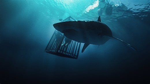 Shark Week: 10 films featuring man-eating sharks to check out