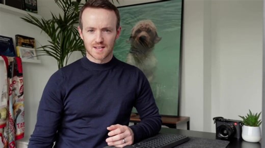 18 reactions | Shout out to all the infosec pets that have supported learners throughout the journey 﫶 | OffSec | Facebook