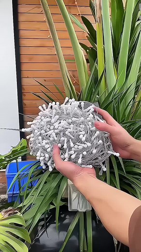 [Dây thẳng dài 40M] Dây chớp nháy #denledtrangtri #denledkimcuong #denledkimcuong40m #decor #thinhhanh