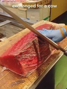 Bluefin tuna A piece of meat can be exchanged for a cow | Foody Daily