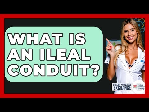 What Is An Ileal Conduit? - Nursing Knowledge Exchange