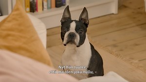 Elisa Viihteen uusin alkuperäissarja Ei Haukku haavaa tee on hulvaton koko perheen komedia. Katso tuore traileri! 🐶🍿Tulossa Aitio-ohjelmakirjastoon 7.5. | Elisa