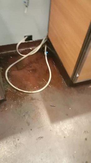 Kitchen sanitation #janitorialservices #CleaningTips #cleaningservice #cleaningtiktok #fyp #JanitorialPros # #kitchencleaningtips #kitchencleaning #cleanoutservices #cleanouts #sanitation | Rickygetsthejob Done