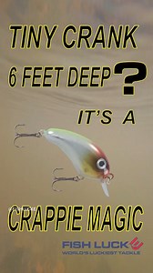 3.1K views · 62 reactions | Check out this incredible tiny crankbait that dives deep fast and catches everything that swims! #worldsluckiesttackle #fishlucke #walleyefishing #tackle #crappiefishing #tobykeith #fishing #lures #baits #luckestrike #bassfishing #troutfishing #greenwoodarkansas #krystalkeith #madeintheusa #fishingtackle | FISH LUCKE | Facebook