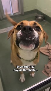 11K views · 657 reactions | PupWeekly on Reels | Facebook