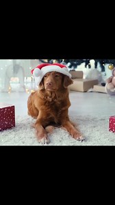 ❤️Our annual in store GIFT CARD special is back. Plus you could win...