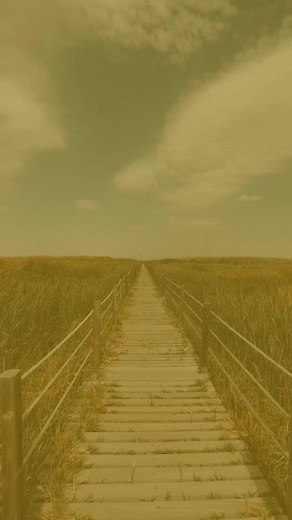 #bepositivepage #positivity #inspiration #motivation #quotes #sayings | Be Positive Page