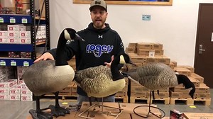 49K views · 272 reactions | CANADA GOOSE SIZE COMPARISON Quick video on Canada goose sizing. #waterfowl #geese #rogerssportinggoods | Rogers Sporting Goods | Facebook