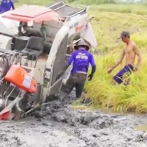 84K views · 479 reactions | Hard work on rice field with Tractor | Daily Post | Facebook