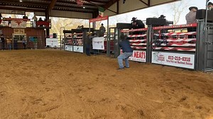 2.7K views · 37 reactions | Young bull getting it figured out at the @UBBI - United Bulls and Broncs Inc. Divisional Resurrection in Mansfield, TX. | Humps N Horns Bull Riding Magazine | Facebook
