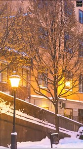 CULTURE SHOCK IN SWEDEN #sweden #culture #fbreels #fbreelsfypシ゚viral #viral @followers | Freaky and Fascinating