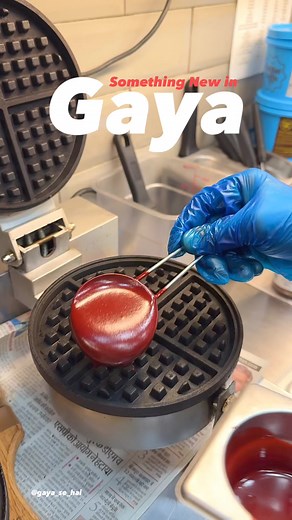 3.2K views · 34 reactions | The Belgian Waffle CoAddress:Opposite gaya club gate-3,white house compound road,judges colony, sadar, Gaya, Bihar 823001•Offers Happy hours ,Mon~Friday | 1 pm to 5pm Get 2 Waffles at :250/-Get 3 Waffles at :350/-Get 4 Waffles at 450/-• Waffles of the Day | Gaya se hai | Facebook