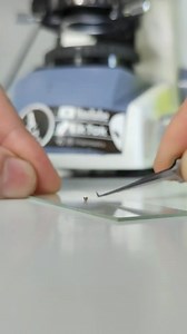 Prerja e thonjve eshte nje nga pese traditat e trasheguara nga te gjithe profetet e Allahut a.xh.. Zgjatja e thonjve nga burrat_ por sidomos nga femrat ne menyre artificiale_ eshte totalisht e demshme_ jo higjenik | Hoxhë Mazllam Mazllami