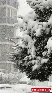 Snowy Silence ❄🌙 Deep Relaxation#relax #cozy #lofi #sleep #calm #rain #nature #study