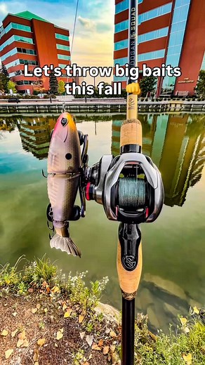 Don't be afraid to throw big baits this fall! The fish like them. 😉🎣 #swimbait #bassfish #swimbaitunderground #fish #fishingreels #largemouth #fishingdaily #walleye #panfish #bassfishin #smallmouthbass #fishinggirls #troutfishing #fishingaddict #mysterytacklebox #smallies #fishinglife #bassfishingislife #bassfishingnation #fishing #fishingreel #basspro #fisherman #smallmouthbassfishing #riverfishing #bassfishing #fishinggear #pondfishing #kayakfishing #outdoors | Woj Fishing