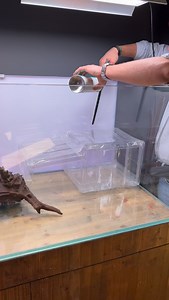 586K views · 5.1K reactions | La finalidad de este acuario era probar tres nuevas técnicas : - foam fix de Oase nos gustó mucho - Resina azul dio demasiado trabajo y efecto no quedó natural - espejo para ver el interior de la cueva #pezverde | pezverde.es | Facebook