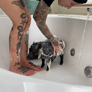 796K views · 10K reactions | Nicholas just got all freshened up in a...