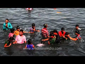 Devotees in full zeal celebrating the festival of Ganesh Chaturthi
