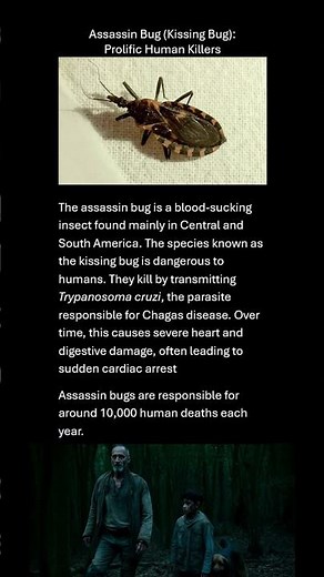 Assassin Bug: Prolific Human Killers