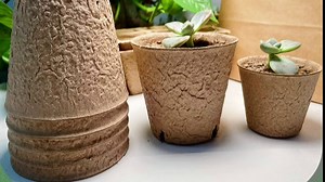 Biodegradable Peat Pots for seedlings, 30 Pack Plant Seed Starter Pots Kit, 2.36inch Succulent Planter Nursery Pots with Free Plant Markers, Garden Germination Kits (30, 2.36")