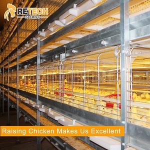 [Hot Item] Automatic bird-harvesting broiler raisin cage system