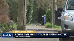 Two teens arrested in Mount Baker shooting, found with modified handgun, police say