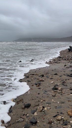 A pyrite ammonite eoduroceras still in the shale which I found a couple of days ago 195 million years old Charmouth | Charmouth Fossils
