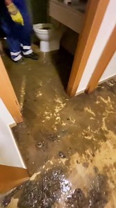 customer says my house exploded藍藍 #drain #drains #drainage...
