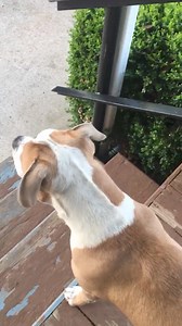 Hey where them tires come from?? This is not a recent video. | Jerry Johnston