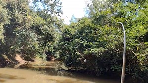 Isso foi uma trombada de frente | Casa do Capiau