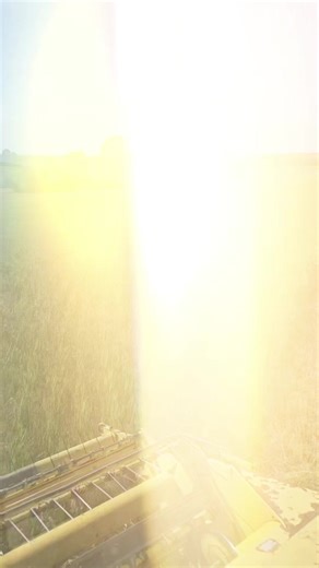 Michael wolvington on TikTok