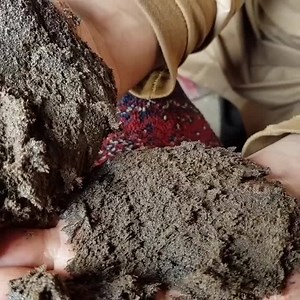1.8M views · 2.7K shares | Amazing hash from Afghanistan ✨ | Zatla Hash | Facebook