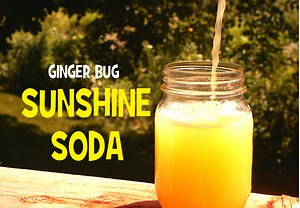 Orange Soda-Made Bubbly with Ginger Bug - I Cook And Paint