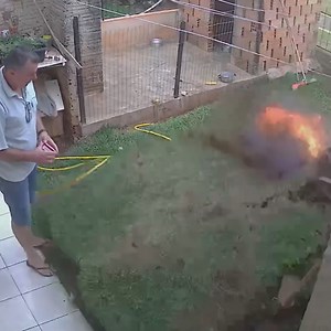 3.3M views · 11K reactions | Trying to eliminate bugs turned the backyard upside down!  | Creative Bee | Facebook