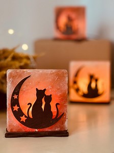 Lampe à sel de l'Himalaya Chats sur la lune - Etsy France