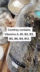 46K views · 2.2K reactions | To all infection, sickness or virus There is always a Herbal Treatment for it. Contact me you suffer from I cure different diseases and virus with herbal remedies. #drsebi #cure #disease #virus #infection #breakfast #healthyrecipes #healthydrink #drink #health #alkaline #reelsviral | Pure Essence Wellness | Facebook