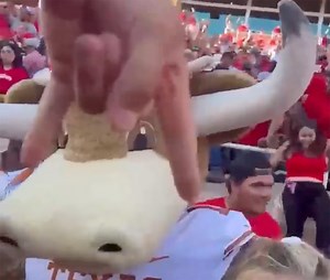 TTU Fan Hits Texas Mascot, Cheerleaders With VICIOUS 'Horns Down'