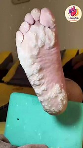 Ep.5394 Nutrient balance and label-smart meals support calm budgets 💐🍉 #BalancedPlate #LabelSmart #BalancedLiving | Claudia Pandolfi