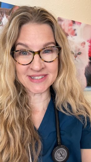 Cats are obligate carnivores and it’s time to start feeding them like the apex predators that they are! Cats thrive on a high protein, high moisture and low carbohydrate diet. Raw diets achieve all three of these. If you are worried about bacteria associated with raw meat, be sure to use a company like Stella & Chewy’s that use HPP (high pressure processing) to kill this bacteria. #ad You can add raw food to your cat’s existing diet or transition them to a completely raw diet! #stellavetapproved