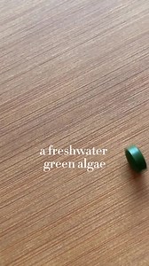 @wholehanna on Instagram takes our chlorella tablets to support her body's natural purification system 🌱 Learn more: https://bit.ly/377X2CH | Sun Chlorella USA